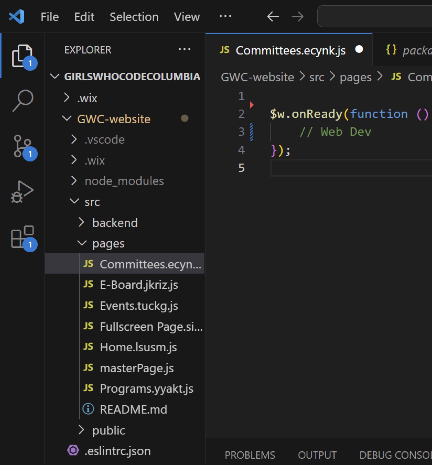 Web Development committee